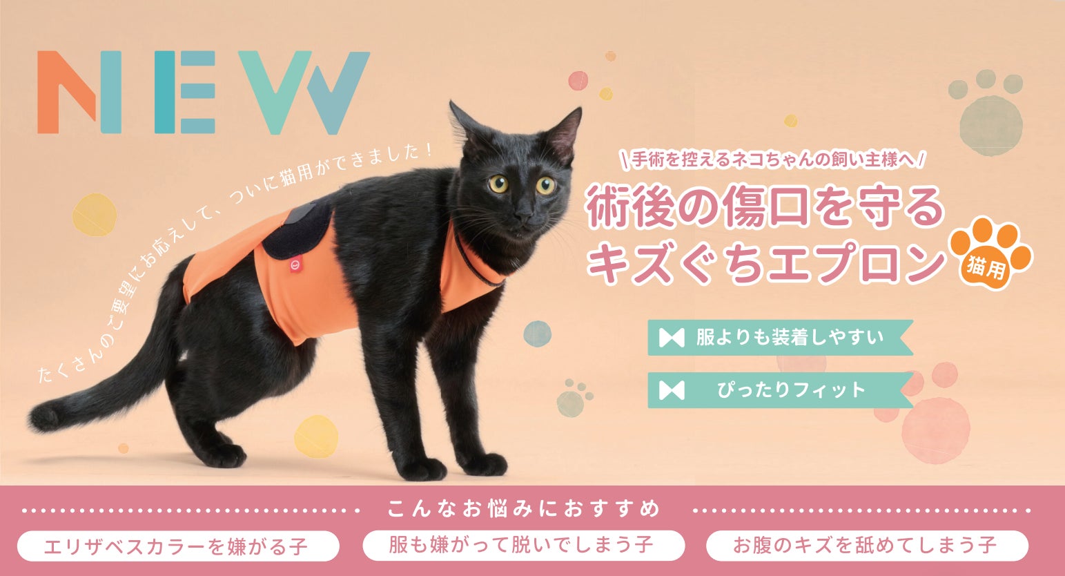 愛猫の術後をサポート!anifull「キズぐちエプロン猫用」新発売 愛猫の術後をサポート!anifull「キズぐちエプロン猫用」新発売