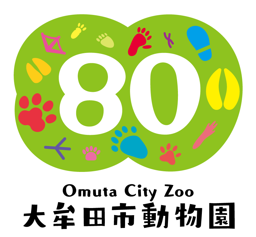大牟田市動物園のキリン専用に オーダーメイドの保温サポーターを開発 ダイヤ工業株式会社のプレスリリース