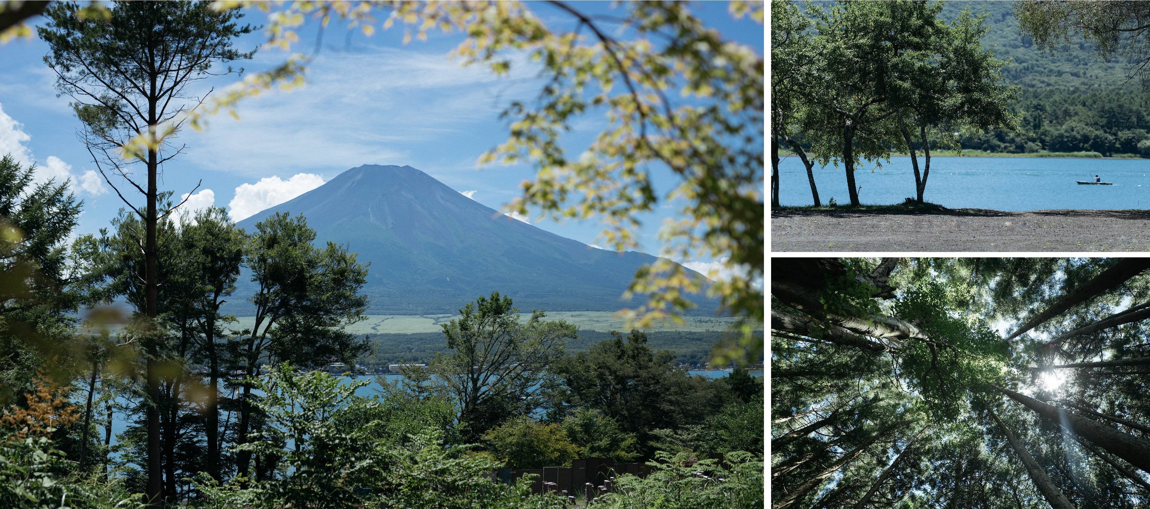 山中湖1stのロケーションイメージ