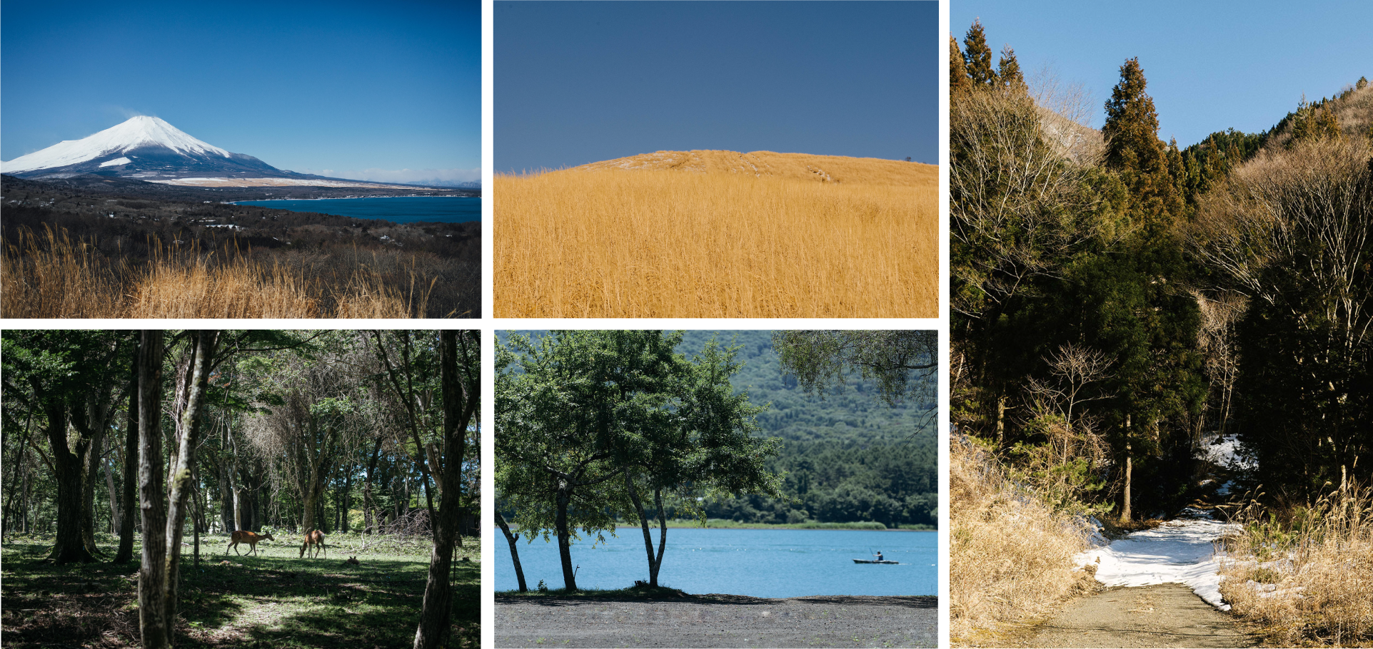 山中湖1stのロケーションイメージ