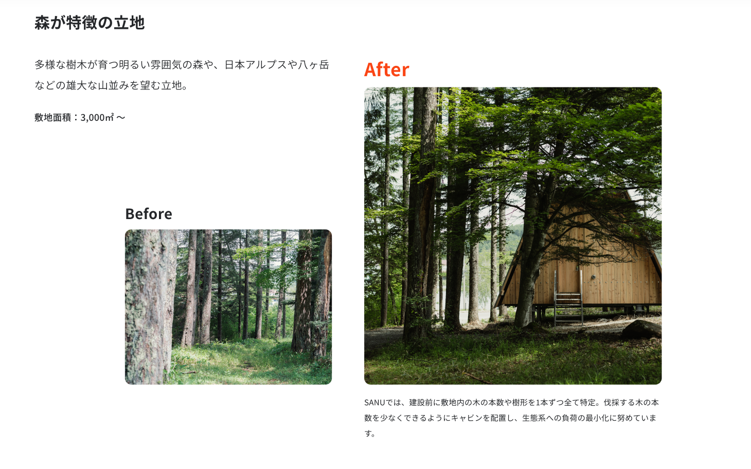 森のロケーション事例