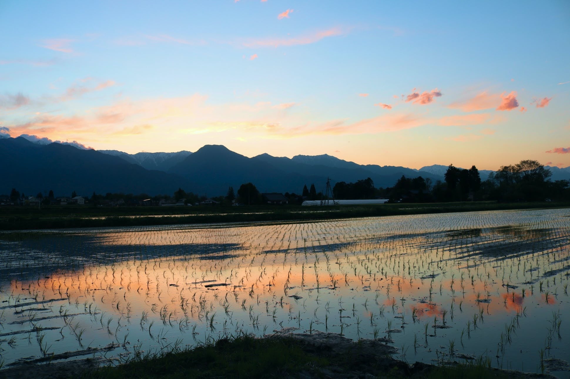 （田んぼの水鏡、広がる田園風景）