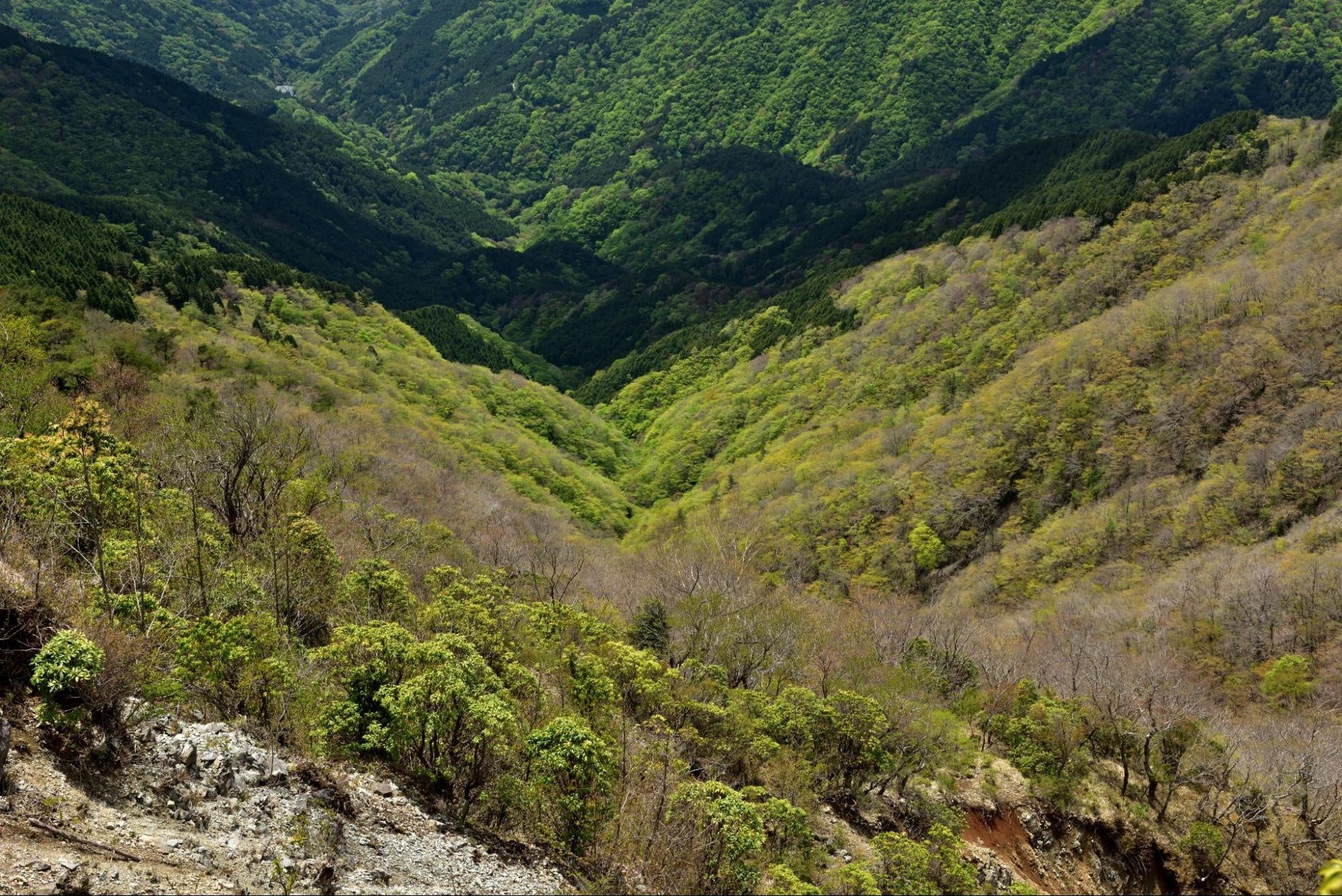 足柄エリアの峰が連なる山々