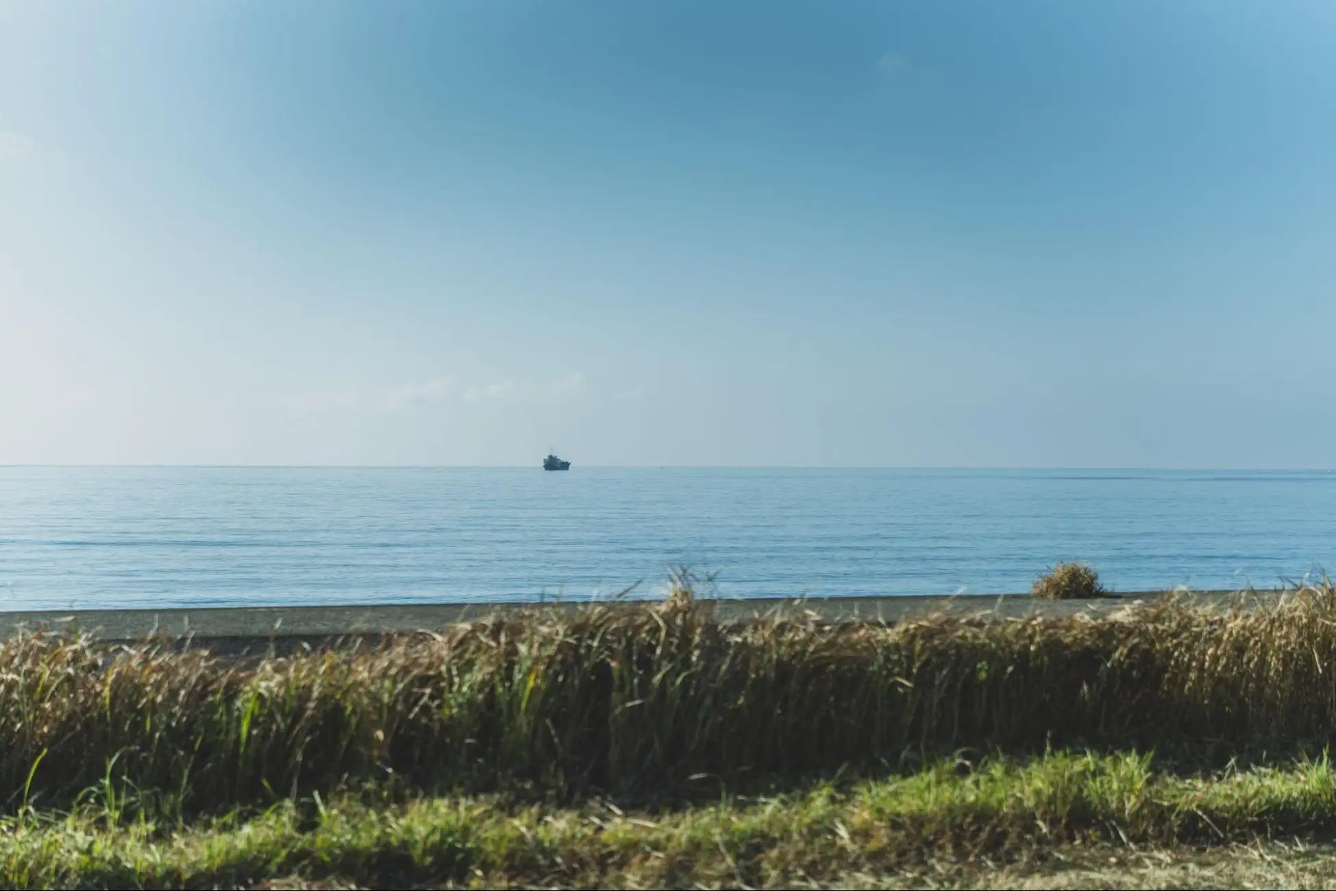 館山1stの目の前に広がる北条海岸