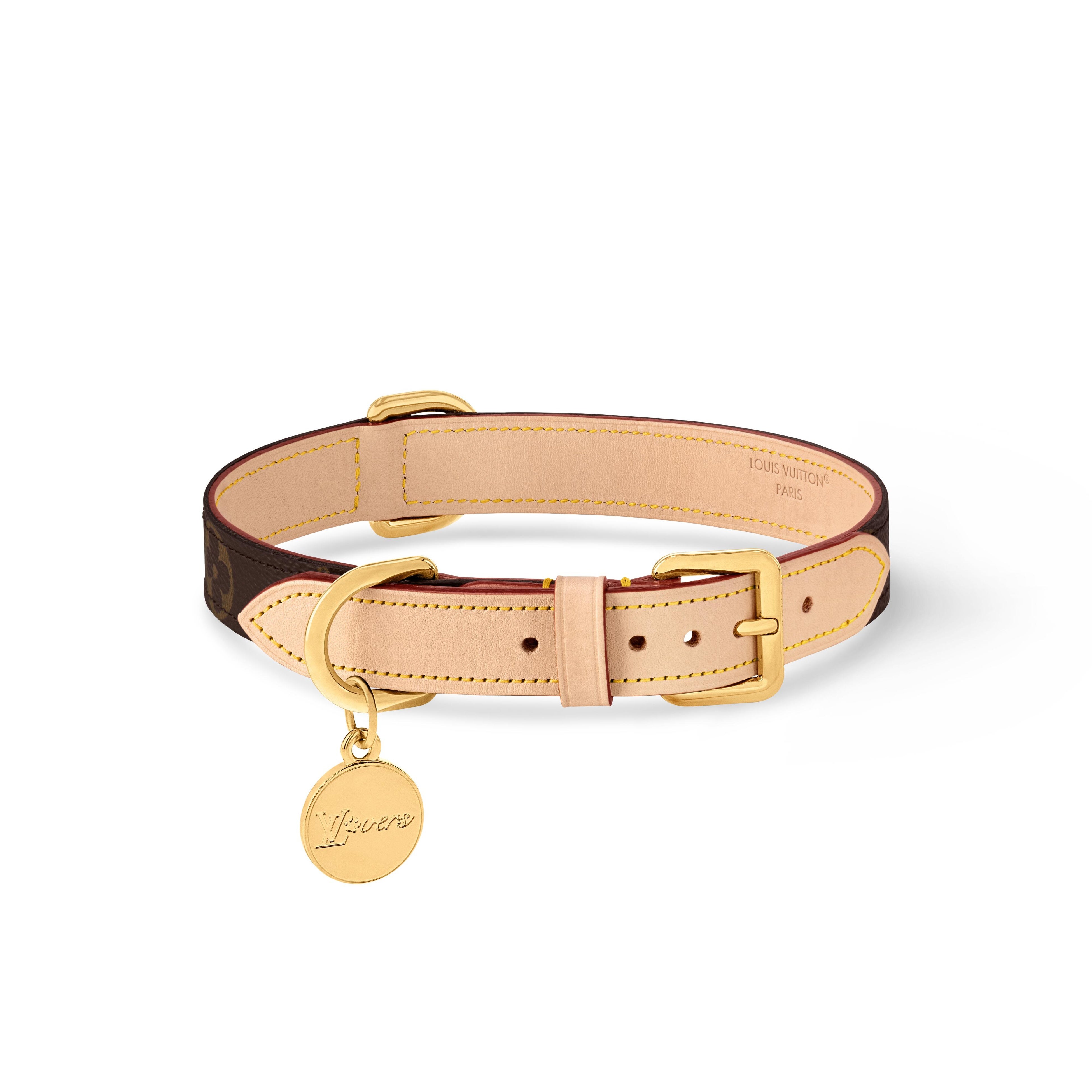 LOUIS VUITTON ドック•リーシュ louis-vuitton-dog-leash-pm--