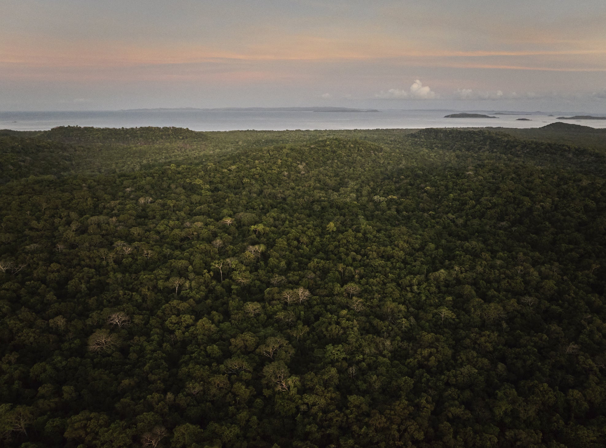 Photographer：Derek Henderson