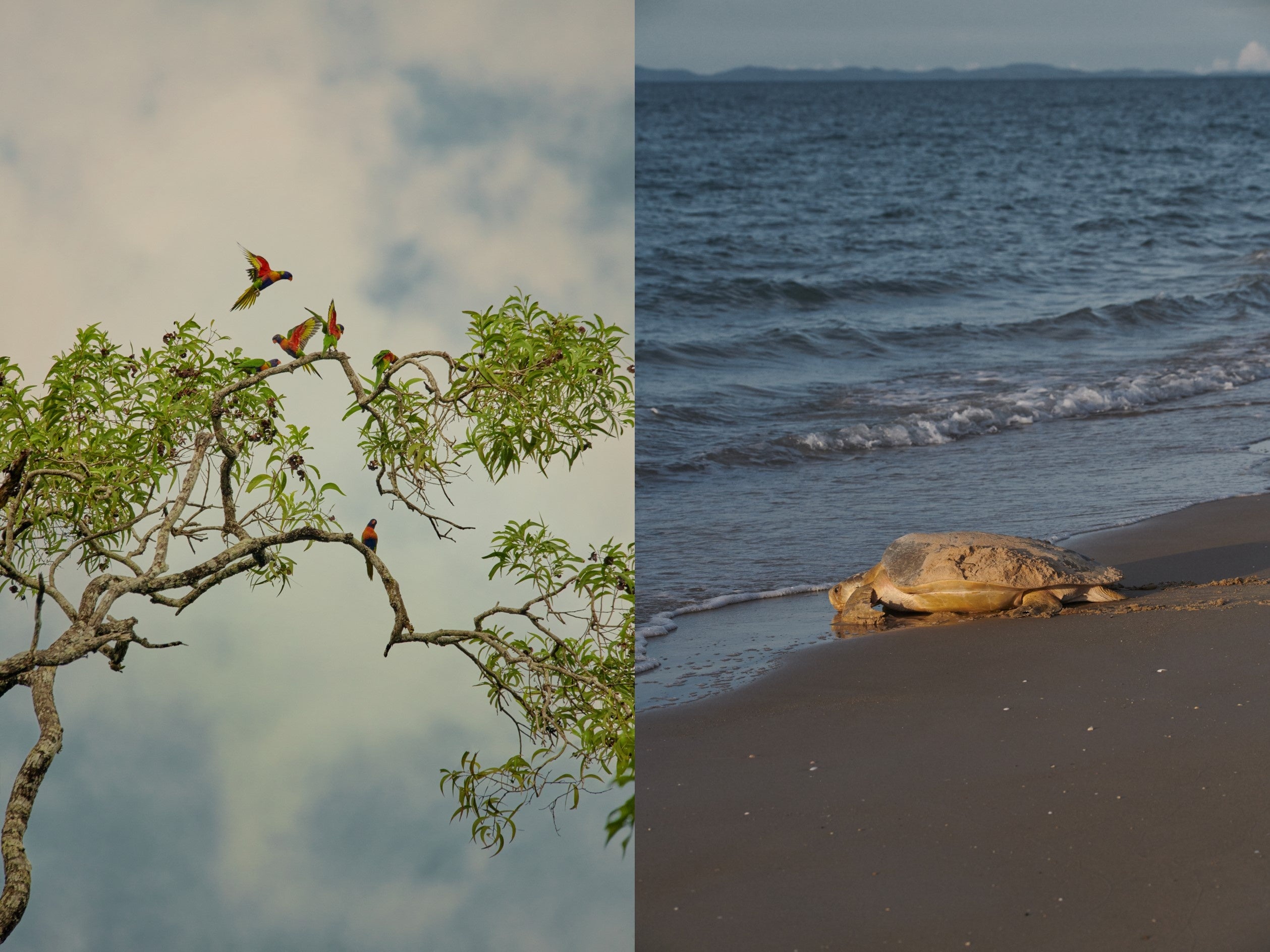 Photographer：Derek Henderson