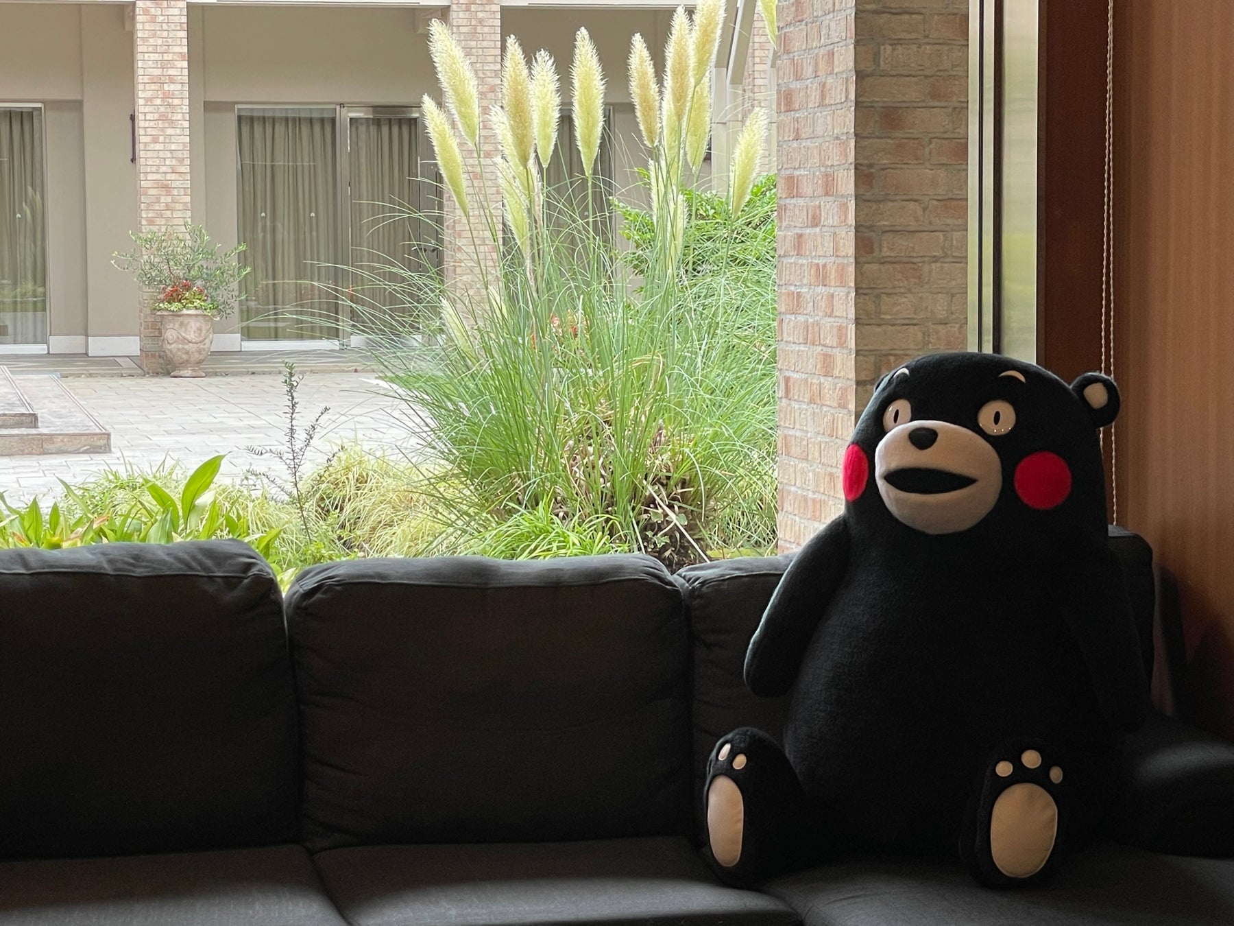 KIGURUMI.BIZ制作「小さなくまモン」