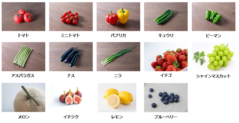 図１　ゼロアグリで栽培されている作物