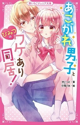 恋愛小説 セット 27冊 スターツ出版文庫・野いちご文庫・ケータイ小説文庫 など 607-1778-