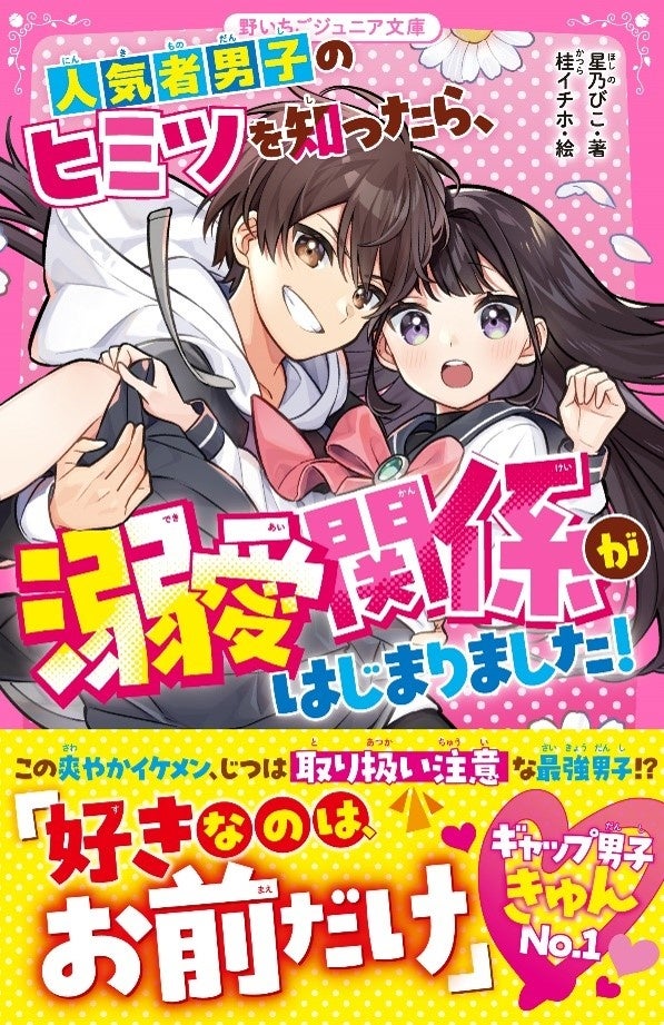 ティーンズ　ジュニア文庫　26冊　野いちご文庫　みらい文庫 女子小中学生のためのドキドキ&胸キュンレーベル『野いちごジュニア