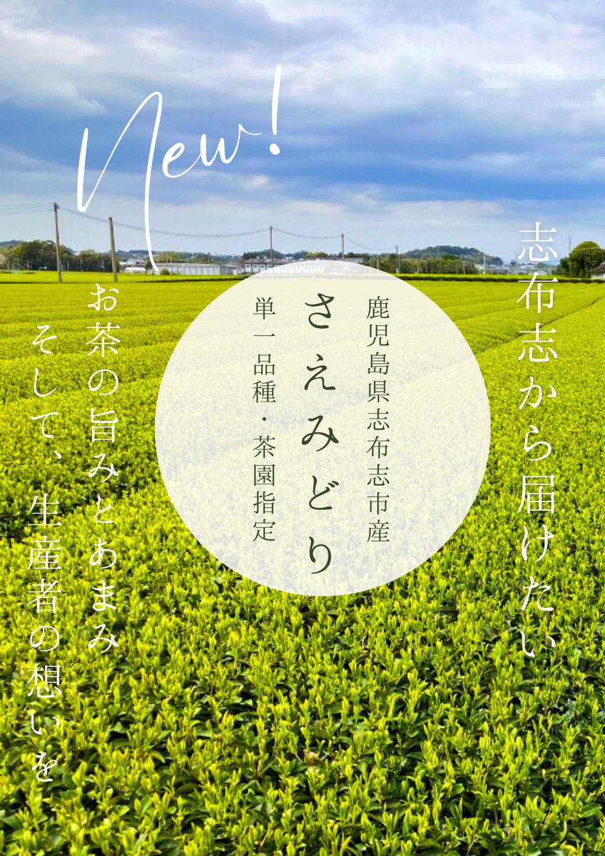 個性が際立つお茶を通じて「しぶし茶」と消費者を繋ぎお茶の世界をより