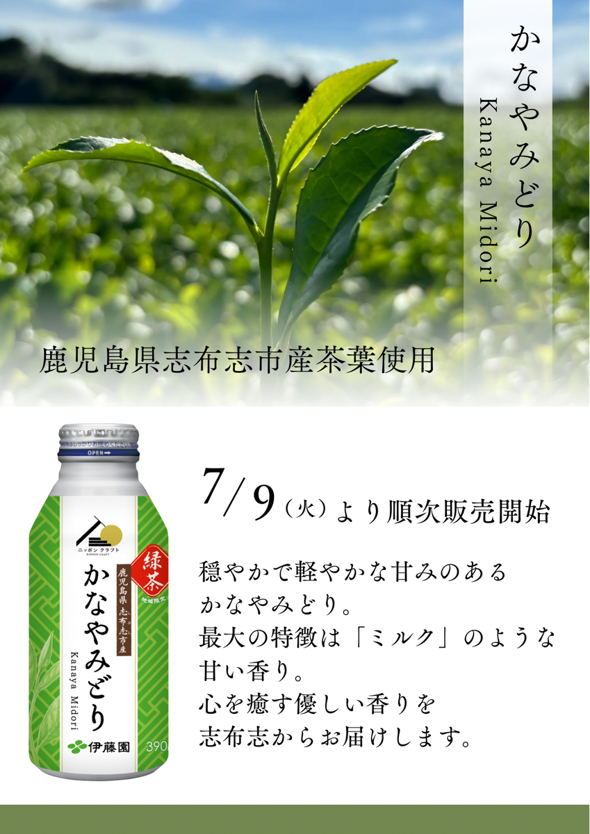 個性が際立つお茶を通じて「しぶし茶」と消費者を繋ぎお茶の世界をより