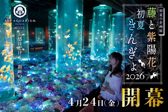 アートアクアリウム美術館 GINZA初夏の企画展「藤と紫陽花 初夏きんぎょ2026」4月24日開幕 アートアクアリウム美術館 GINZA初夏の企画展「藤と紫陽花 初夏きんぎょ2026」4月24日開幕