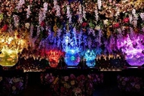 銀座三越で味わう「ごちそう定食」と金魚アート みのる食堂×アートアクアリウム美術館の平日ランチプラン