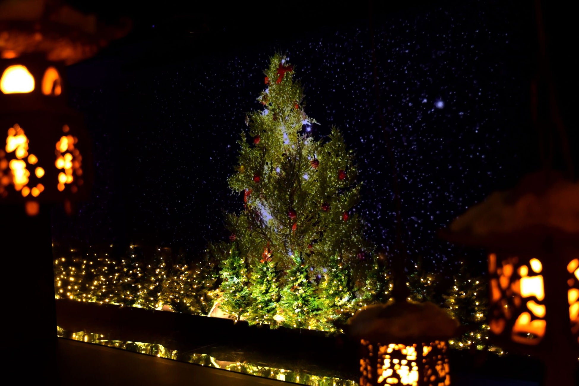 Bv0zfiuman85sm Bv0zfiuman85sm