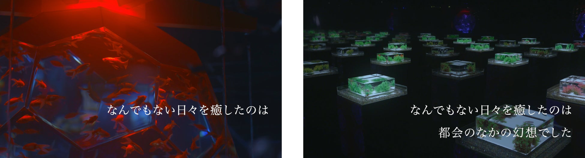 アートアクアリウム美術館 Ginza 新cm ときを忘れる ひとときを 2月1日より公開 アートアクアリウム製作委員会のプレスリリース アートアクアリウム美術館 Ginza 新cm ときを忘れる ひとときを 2月1日より公開 アートアクアリウム製作委員会のプレスリリース