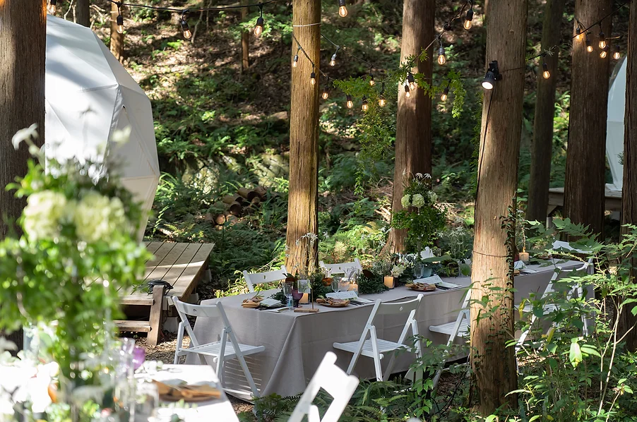 公園レストラン イメージ※写真は前回のテントエリアです。今回は芝生広場にて開催いたします。