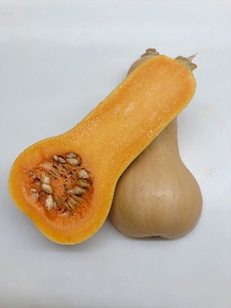 ＜バターナッツかぼちゃ＞