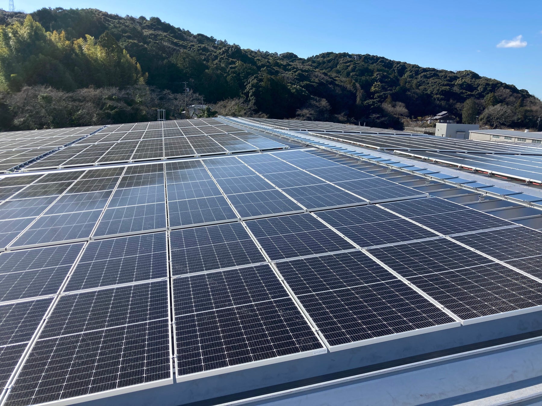 遠州工場の太陽光パネル