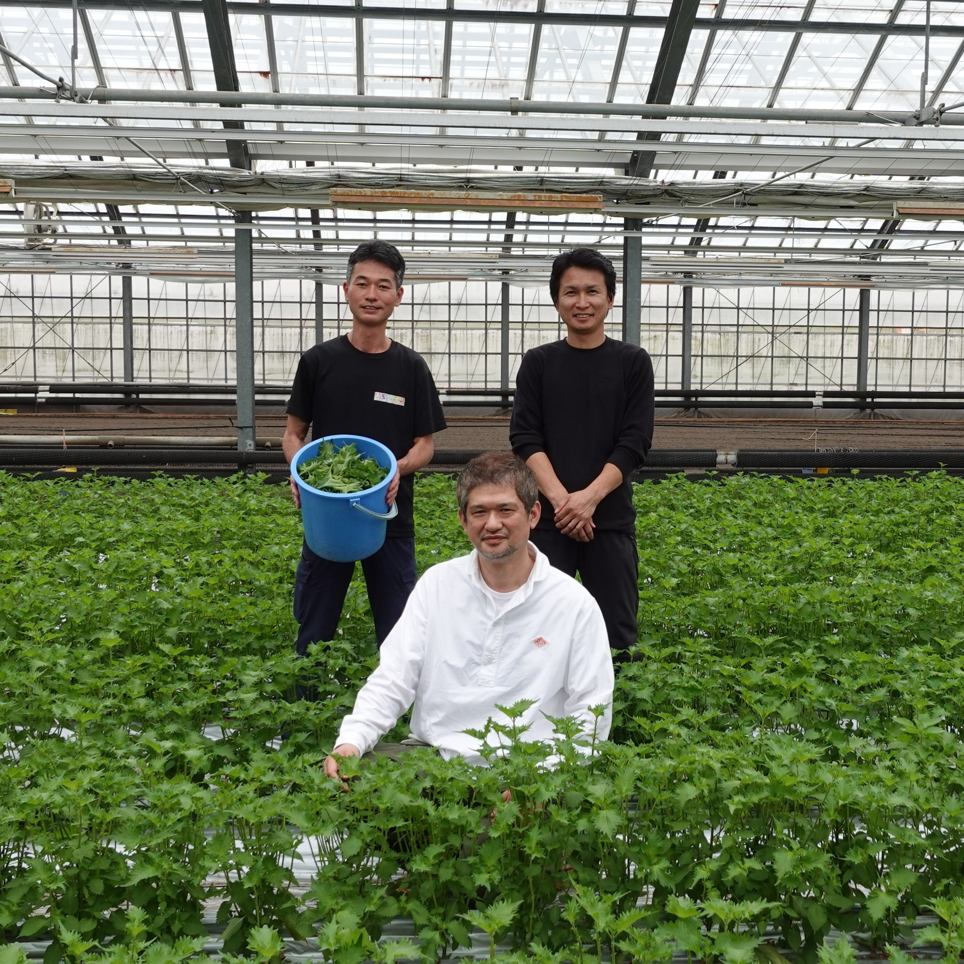 東三温室園芸農業協同組合