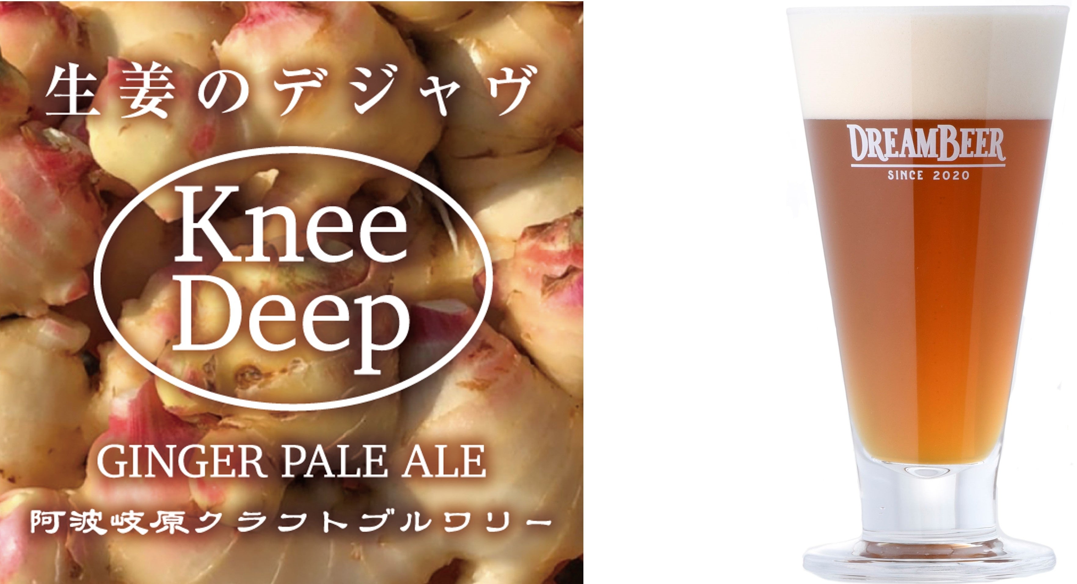 DREAMBEER新たに4ブルワリー6銘柄が追加！ | 株式会社DREAMBEERの