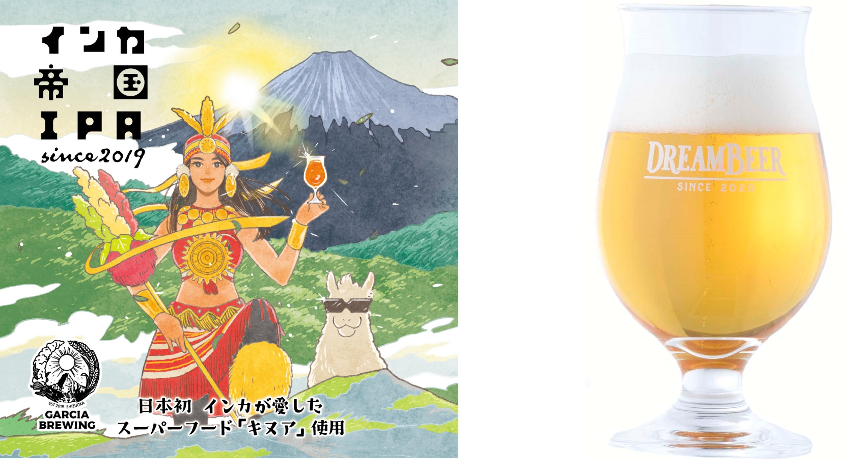 DREAMBEER ビール2本 賞味期限2024.8下旬まで DREAMBEER ビール2本 賞味期限2024.8下旬まで