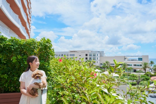 【ヒルトン沖縄北谷リゾート】愛犬と叶えるリゾートステイがさらに快適に 【ヒルトン沖縄北谷リゾート】愛犬と叶えるリゾートステイがさらに快適に