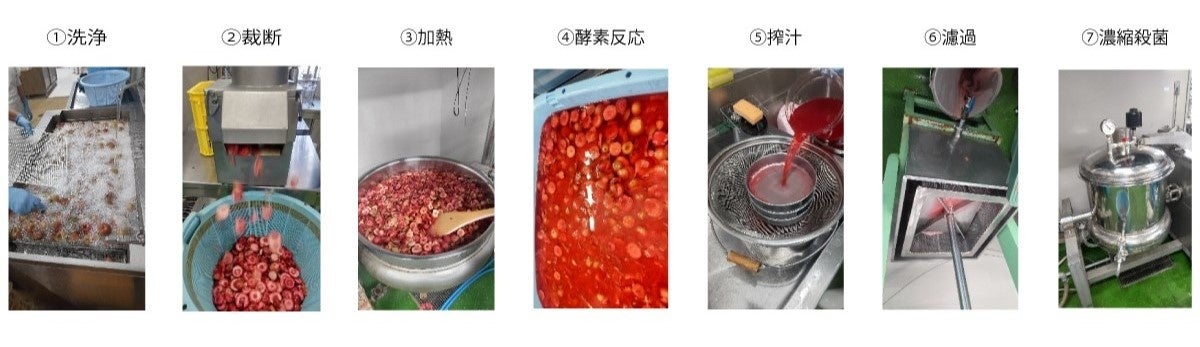 メイポールの天然色素を抽出するまで