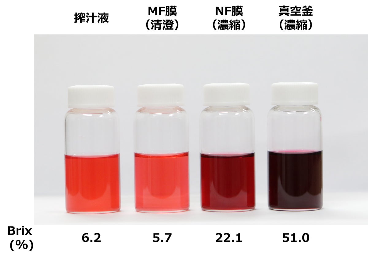 メイポールの天然色素を抽出する開発