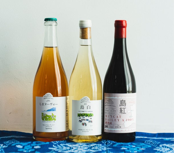 ワイン Shishu DOMAINE SHIZEN Cuvée Denis Doubourdieu 2023 /富士山