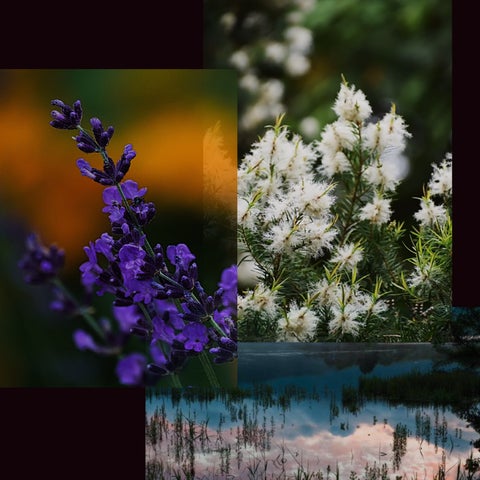 J’aDoRe JUN ONLINE 10周年記念!Sleepy boy×5W1H監修の香水を100名にプレゼント! J’aDoRe JUN ONLINE 10周年記念!Sleepy boy×5W1H監修の香水を100名にプレゼント!