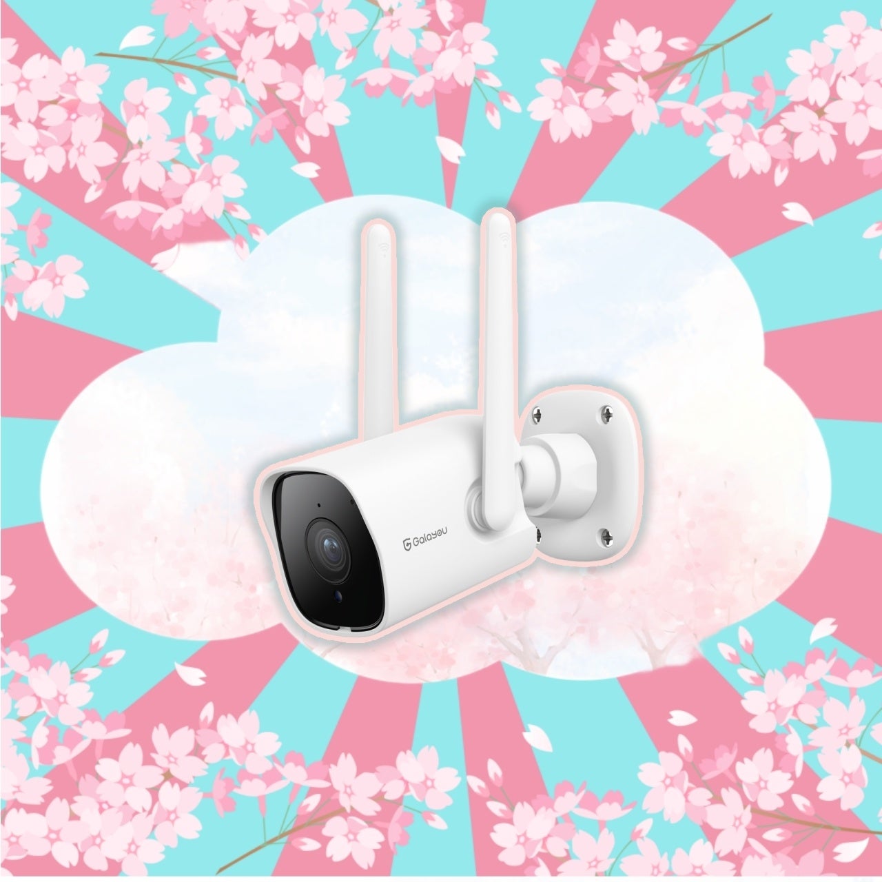 室外給電式ネットカメラY1