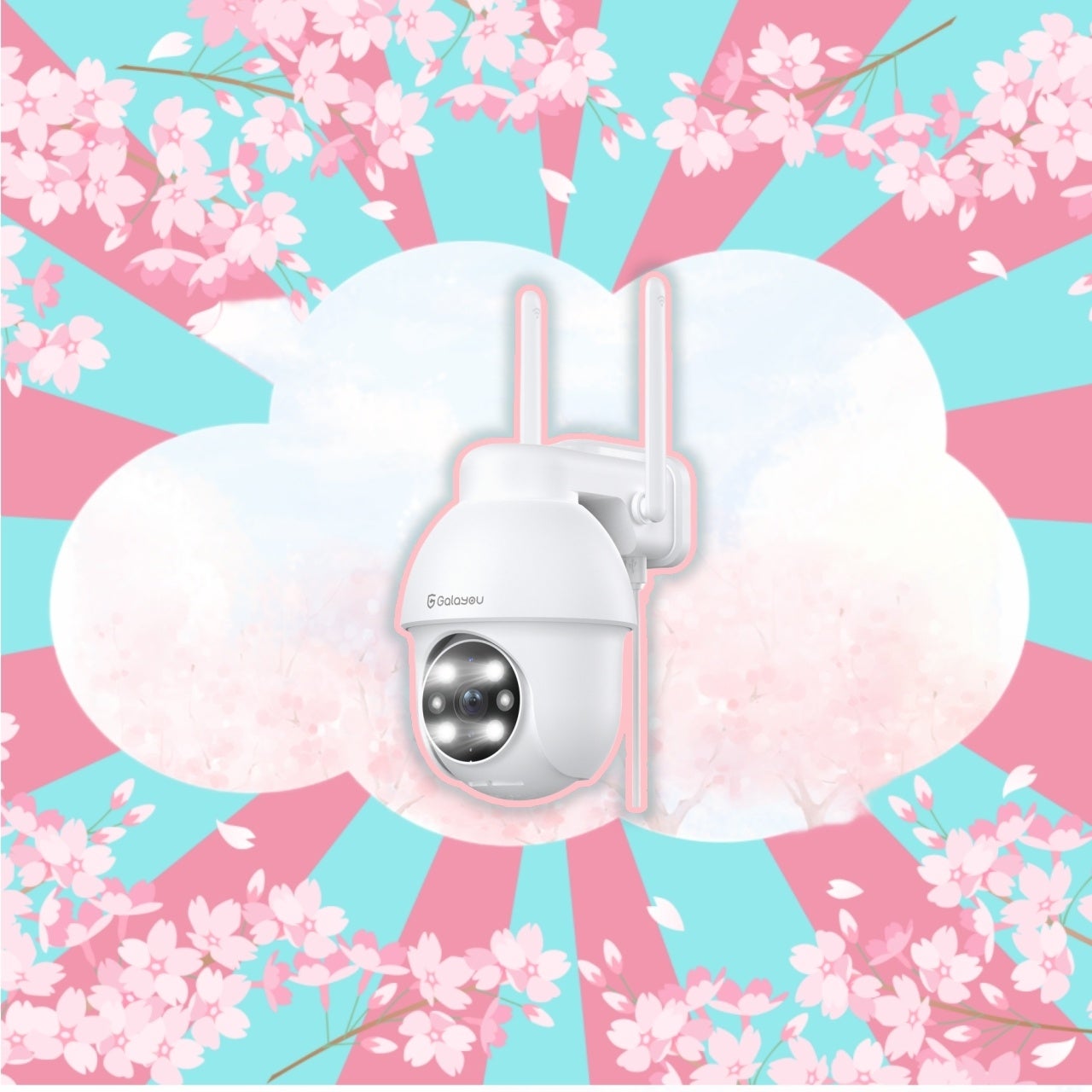 室外給電式ネットカメラY4