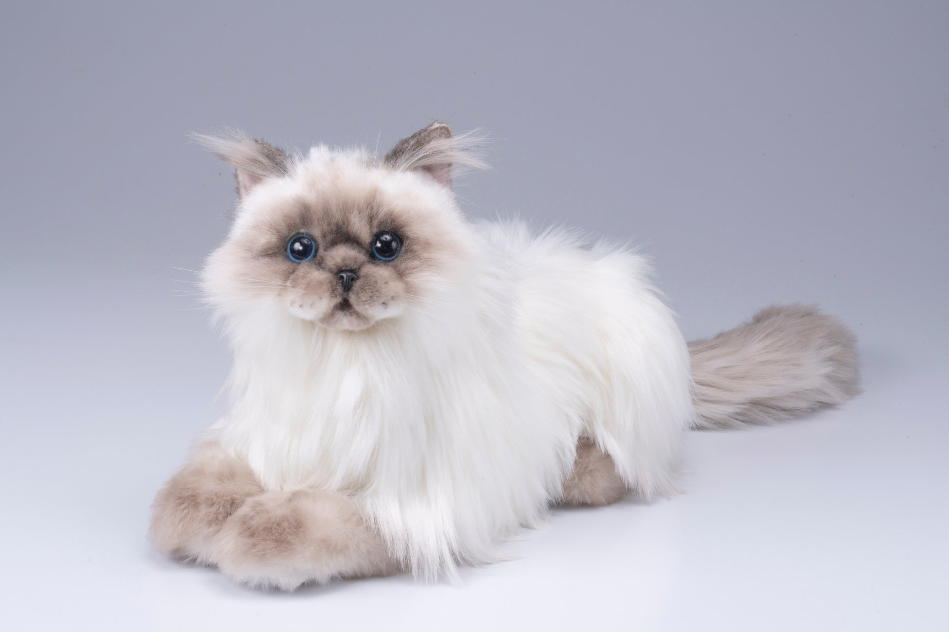 なでなでねこちゃんEXヒマラヤン:新作ロボット猫、触り心地にこだわり! なでなでねこちゃんEXヒマラヤン:新作ロボット猫、触り心地にこだわり!