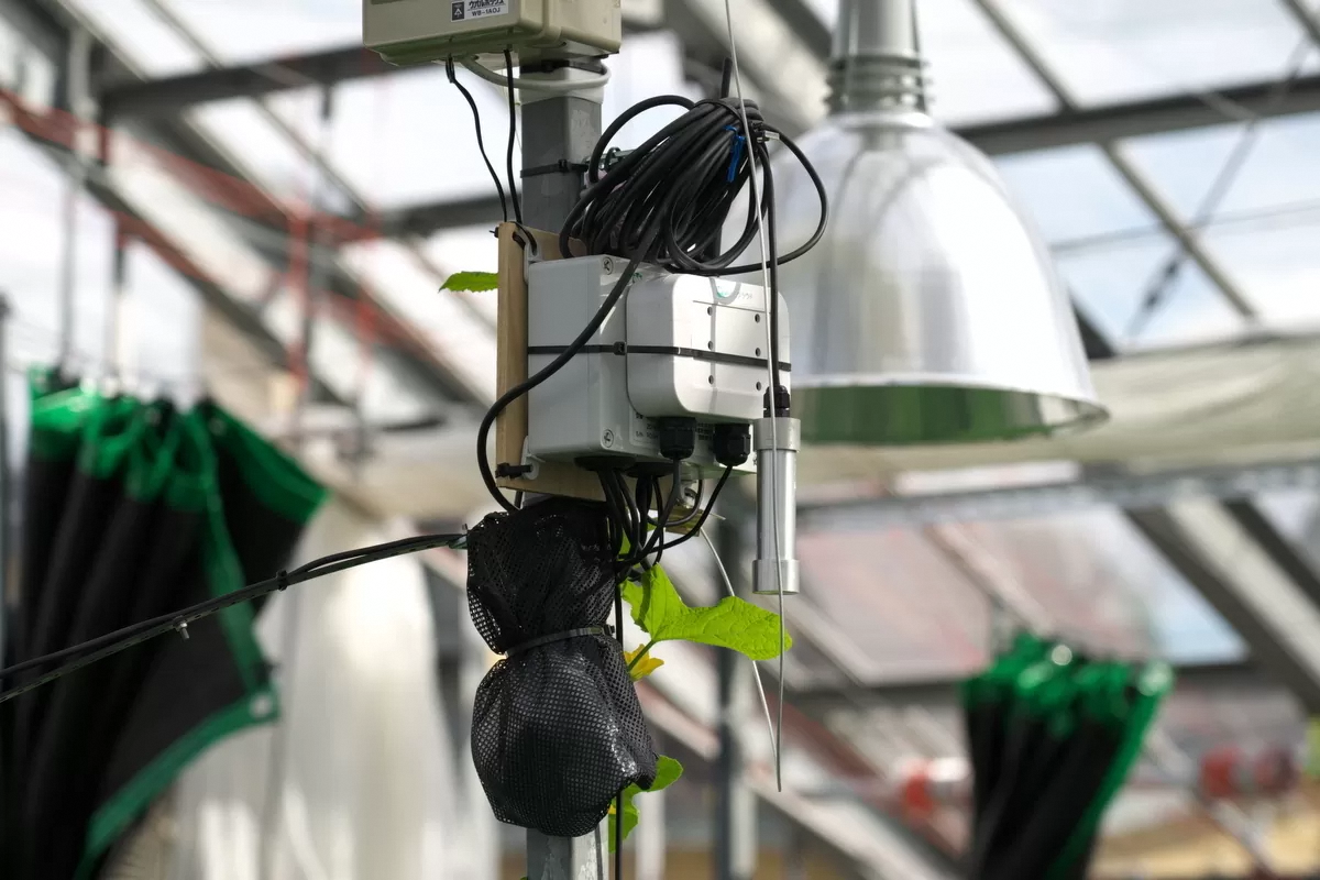 ハウス内のセンサーで温度・湿度・日射量などを測定