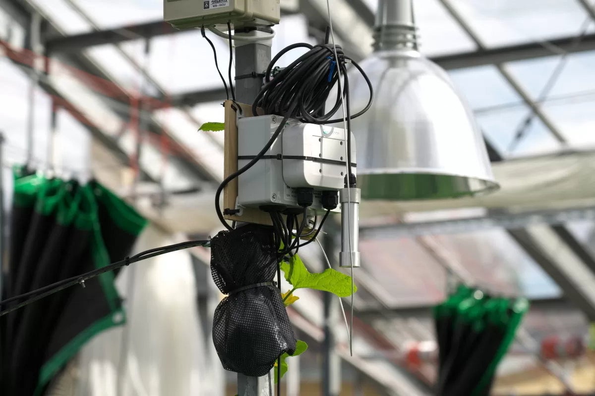 ハウス内のセンサーで温度・湿度・日射量などを測定