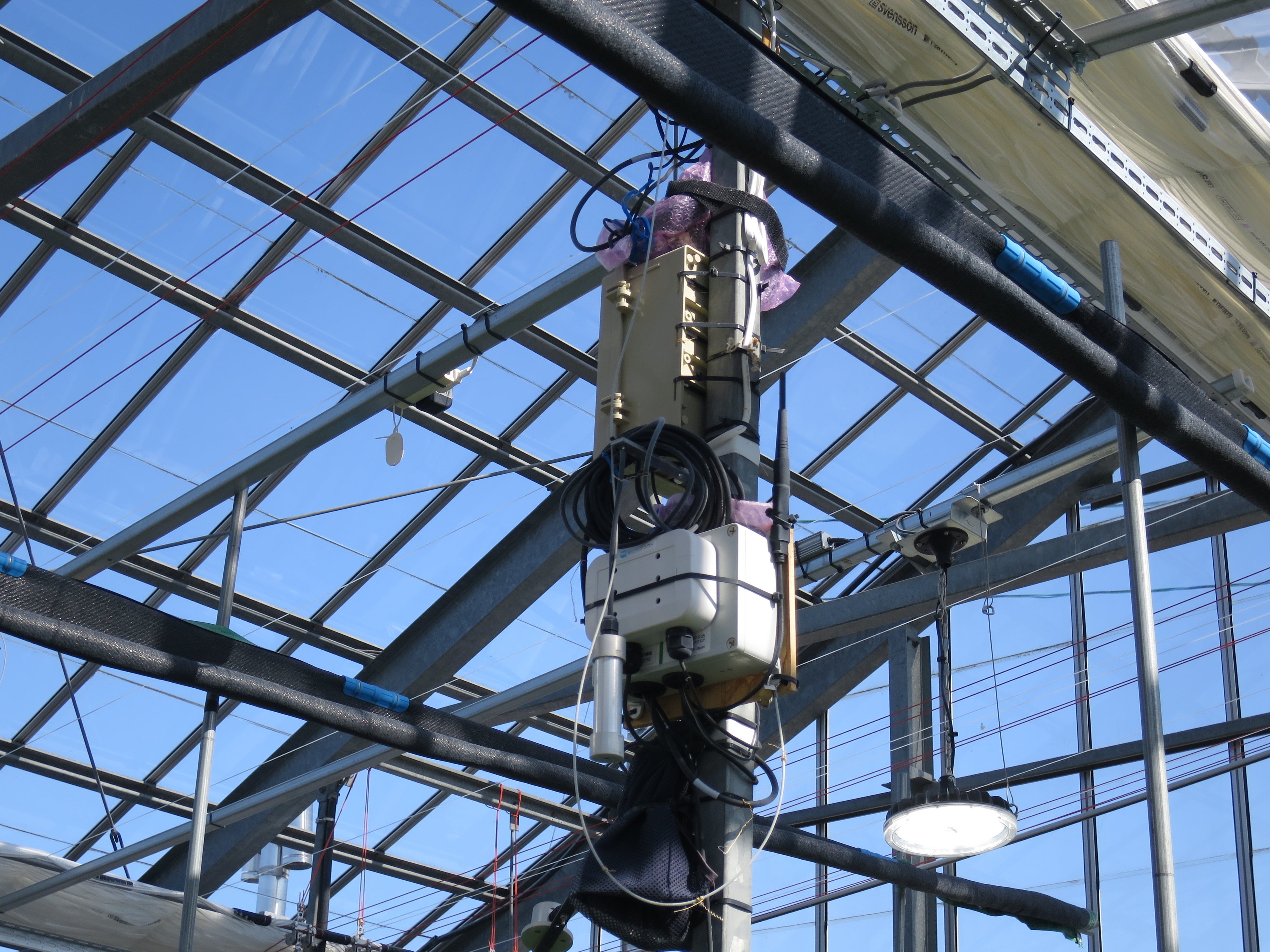 ハウス内のセンサーで温度・湿度・日射量などを測定