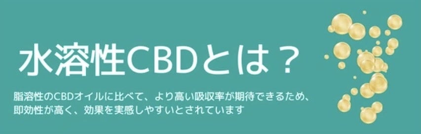水溶性CBDとは？