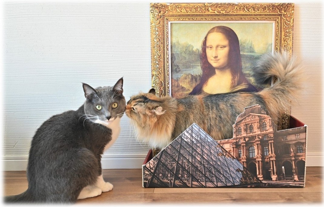 仲良くご機嫌な猫ちゃん達