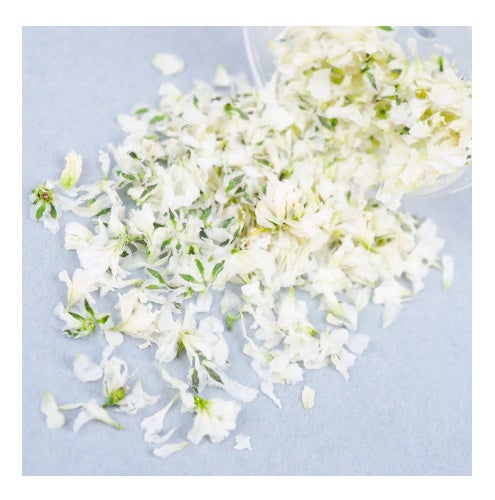 PARTS CLUB online ＜新商品掲載＞7/13(木)人気のS♡mintドライ