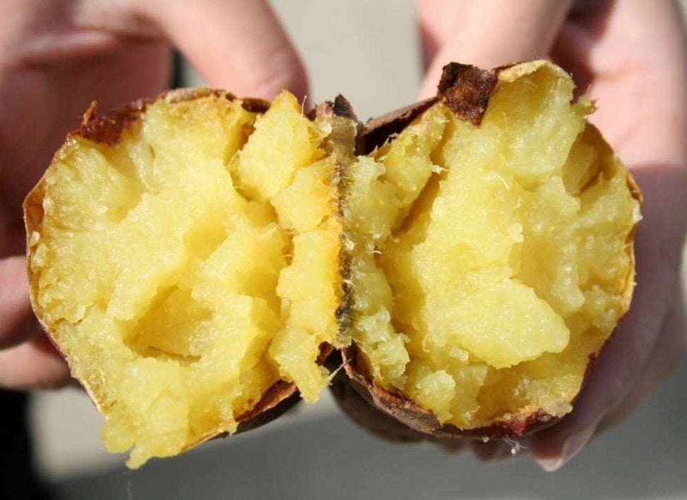 「紅はるか」（イメージ）