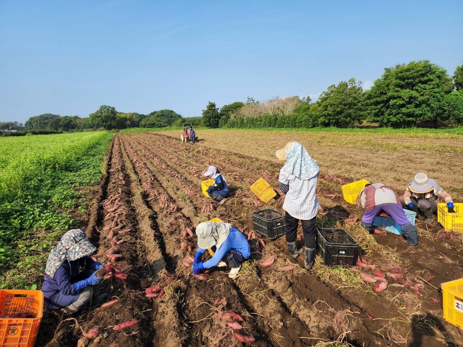 「生産地」（イメージ）