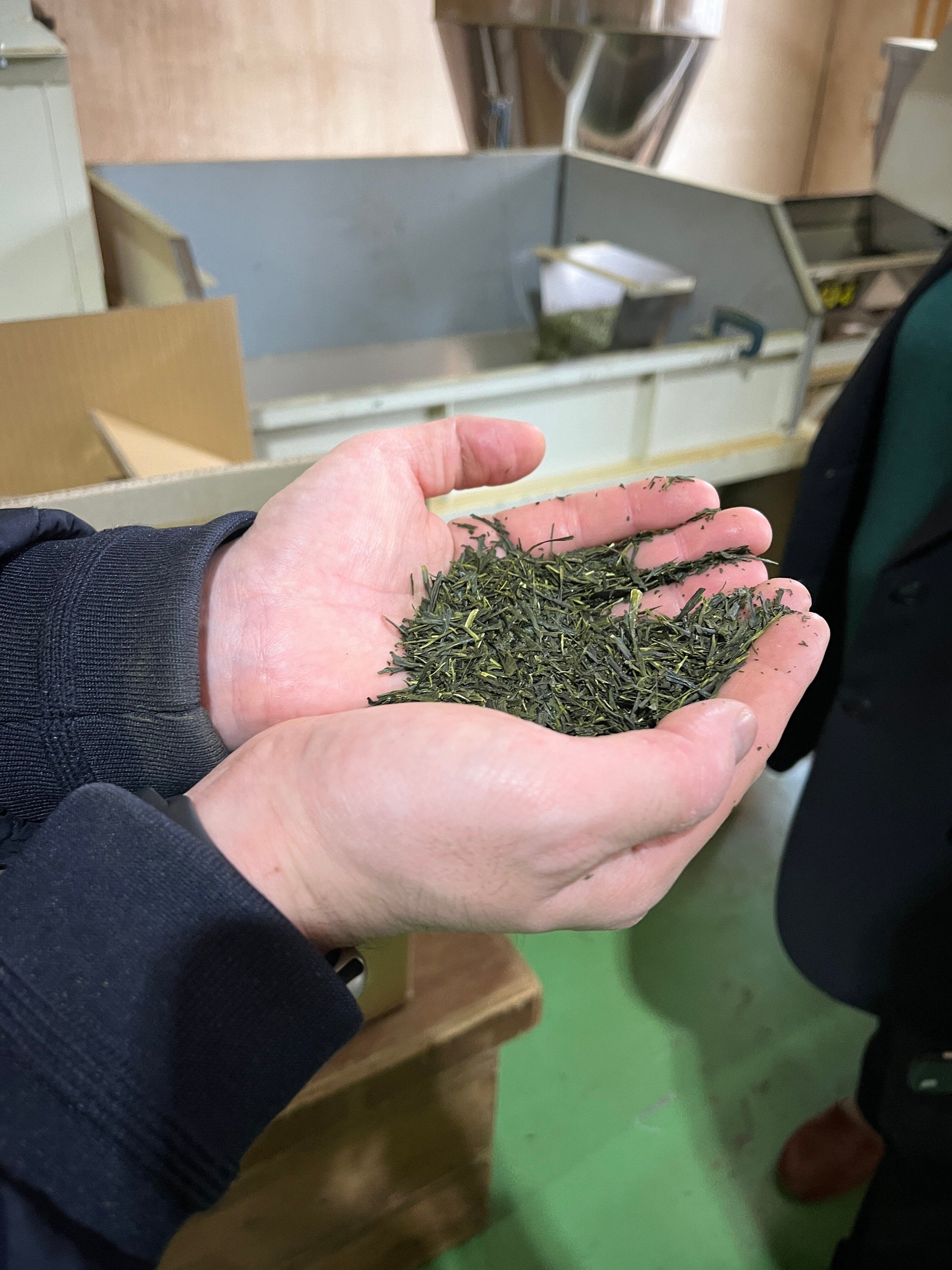 「出雲抹茶 製造過程の様子」（イメージ）