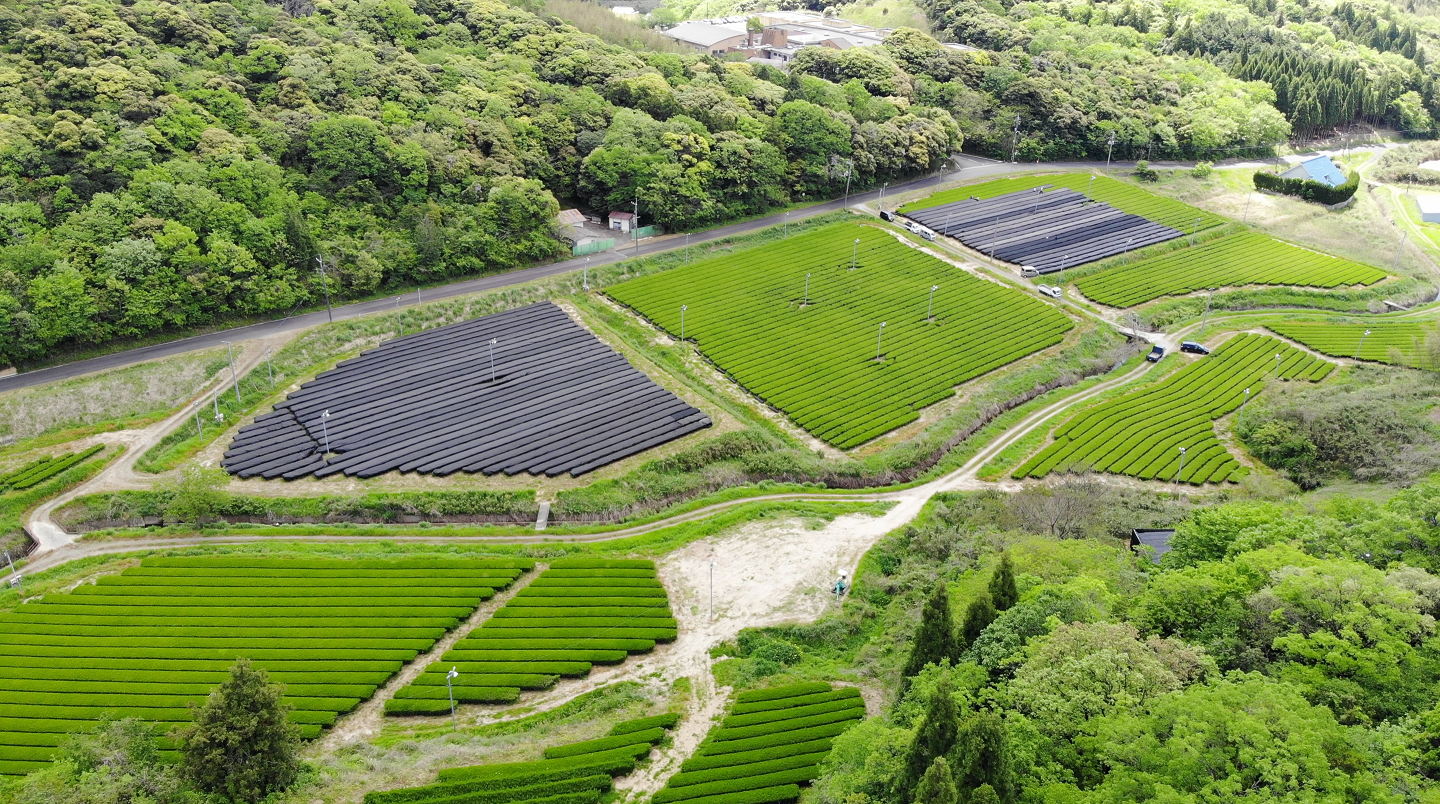 「島根県出雲市　出雲抹茶生産地」（イメージ）