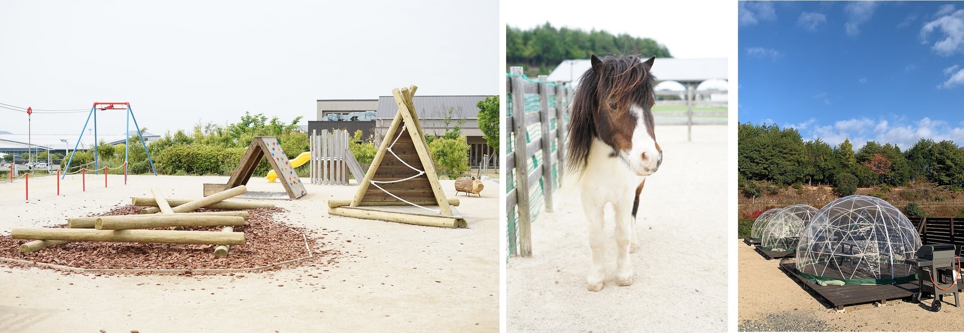 「プチアスレチック・ミニチュアポニー・BBQテラス」(イメージ)