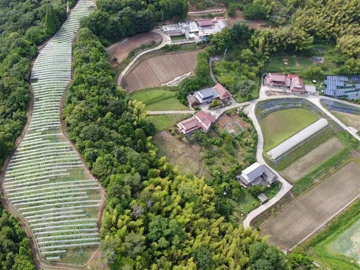八天堂ぶどう園