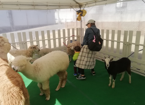 ふれあい動物園（イメージ）