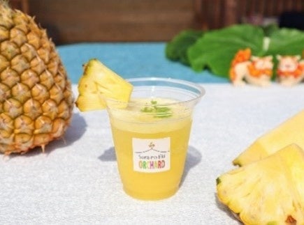 「さっぱりパインソーダ」（イメージ）