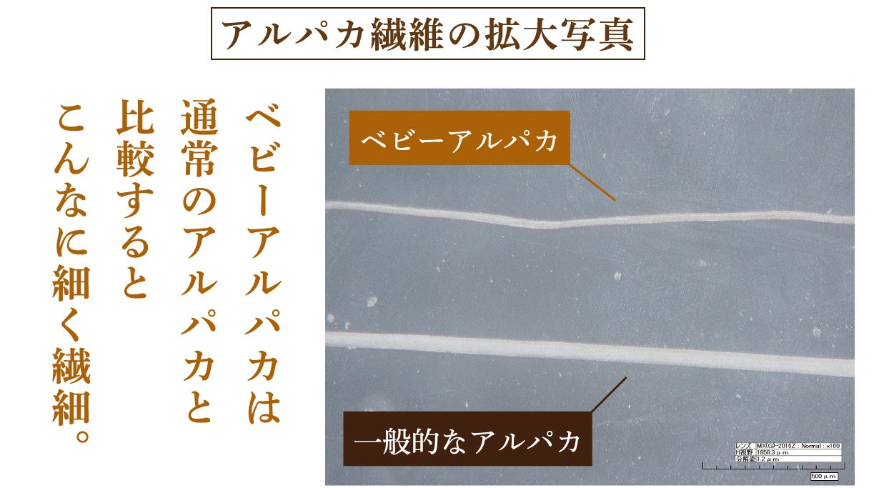 とろけるような柔らかさ、じんわりぽかぽか『ベビーアルパカストール